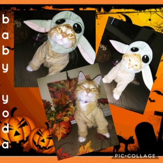 (Cheeto) BabyYoda 